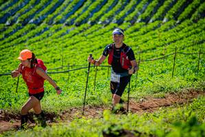 BIB: 
                            <button type="button" onclick="openModal(19161774)" class="btn btn-primary btn-sm float-right btn-popup" data-toggle="modal" data-target=".modal-high-quality">
                        <i class="fas fa-shopping-cart"></i> Add to Cart
                    </button>
                                            <button type="button" onclick="isThisMe(19161774, true)" class="btn btn-success btn-sm float-right btn-popup btn-isme hidden" data-toggle="tooltip" data-placement="bottom" title="นี่คือรูปของคุณใช่ไหม คลิกที่นี่เพื่อเอาเข้าอัลบั้ม">
                        <i class="fas fa-plus"></i> Add to album
                    </button>
                    <button type="button" onclick="isThisMe(19161774, false)" class="btn btn-warning btn-sm float-right btn-popup btn-isnotme hidden">
                        <i class="fas fa-ban"></i> Remove from album
                    </button>